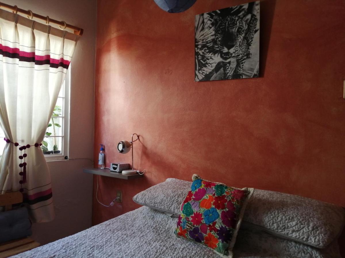 Casa Mixteca Santo Domingo Oaxaca别墅 外观 照片