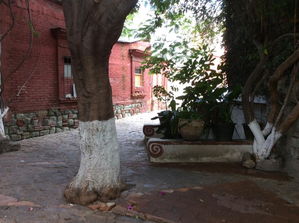 Casa Mixteca Santo Domingo Oaxaca别墅 外观 照片