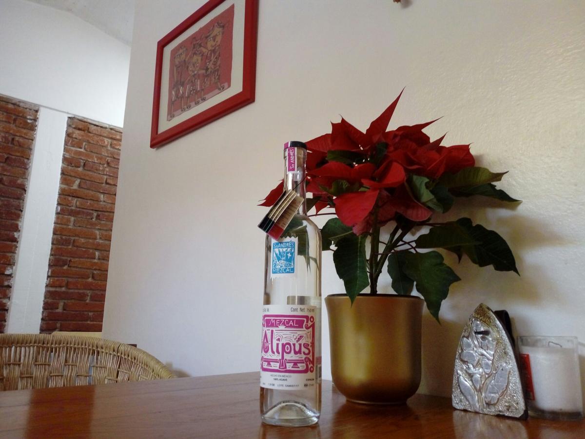 Casa Mixteca Santo Domingo Oaxaca别墅 外观 照片